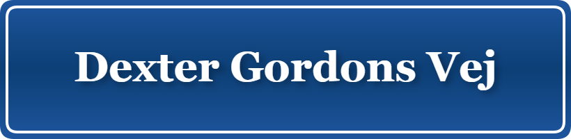 Parkering p&aring; Dexter Gordons Vej, K&oslash;benhavn