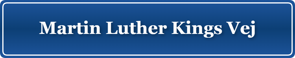 Parkering p&aring; Martin Luther Kings Vej, K&oslash;benhavn