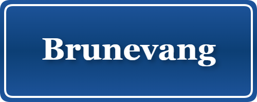 Parkering p&aring; Brunevang, K&oslash;benhavn