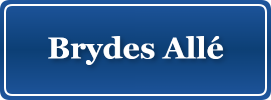 Parkering p&aring; Brydes Allé, K&oslash;benhavn