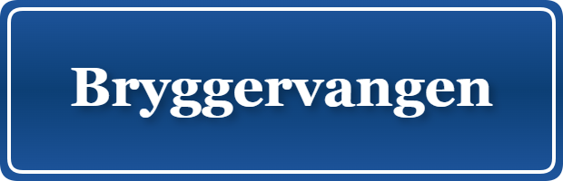 Parkering p&aring; Bryggervangen, K&oslash;benhavn