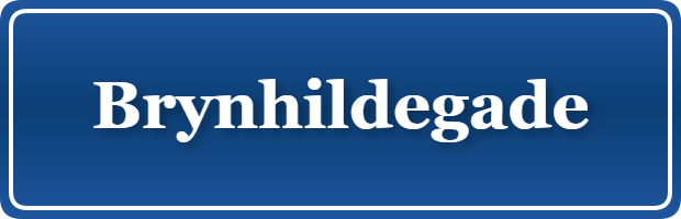 Parkering p&aring; Brynhildegade, K&oslash;benhavn