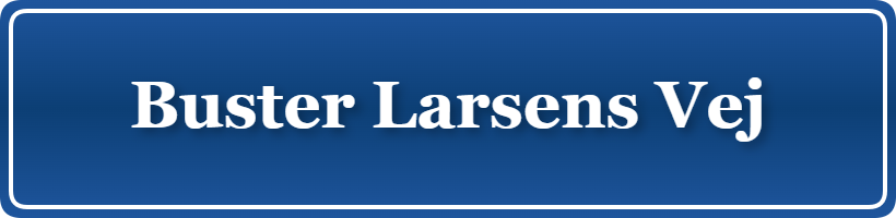 Parkering p&aring; Buster Larsens Vej, K&oslash;benhavn